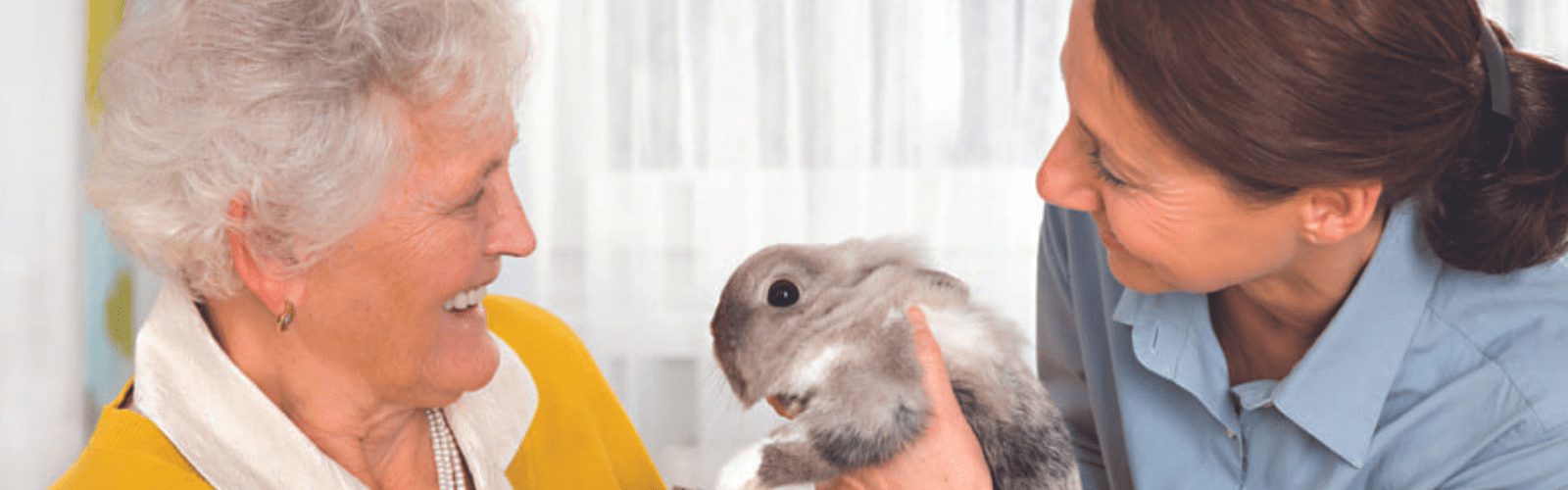 becomeavolunteer-banner